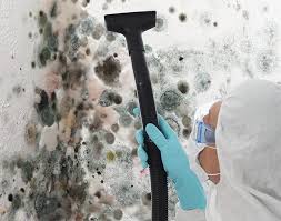 Best Forensic Mold Investigation  in Fosston, MN